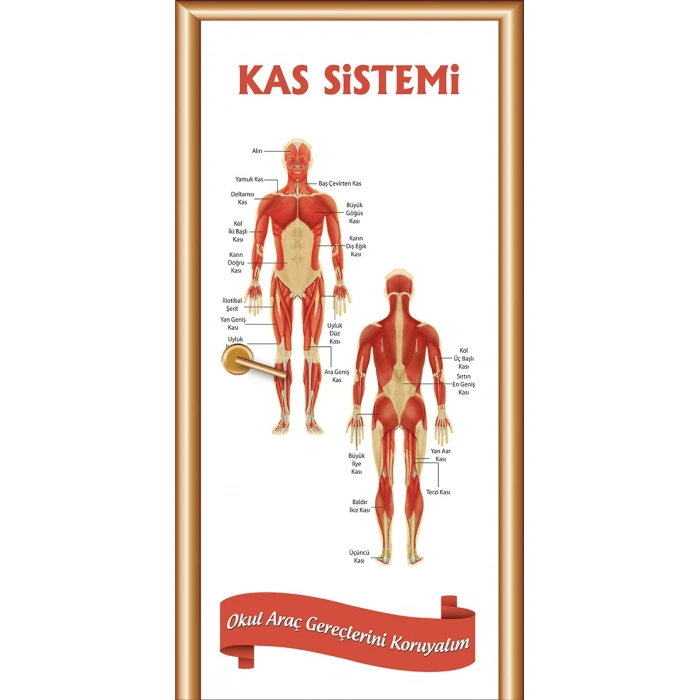 Kas Sistemi Kapı Giydirme 02
