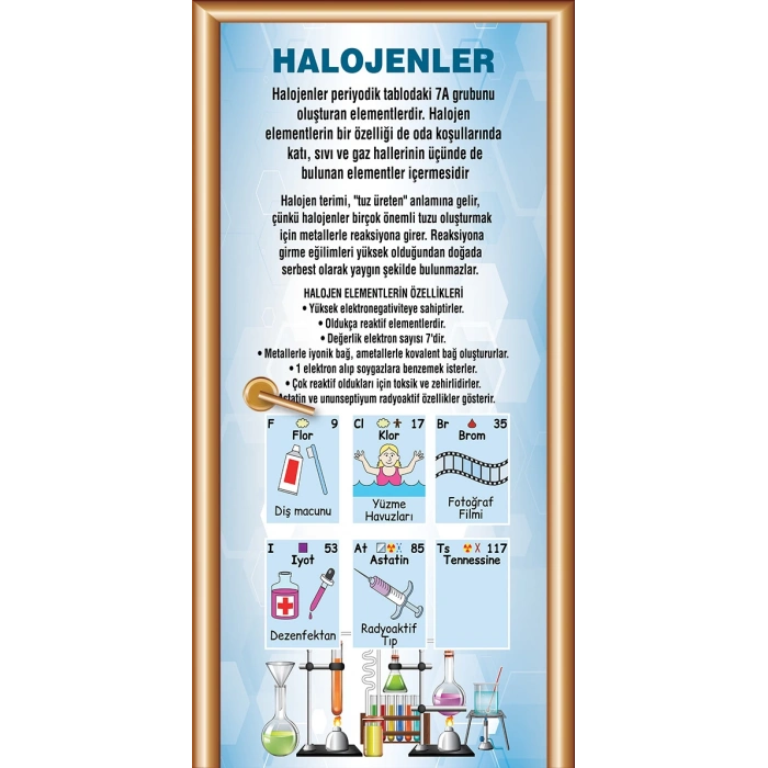 Kimya Halojenler KG KİM 11