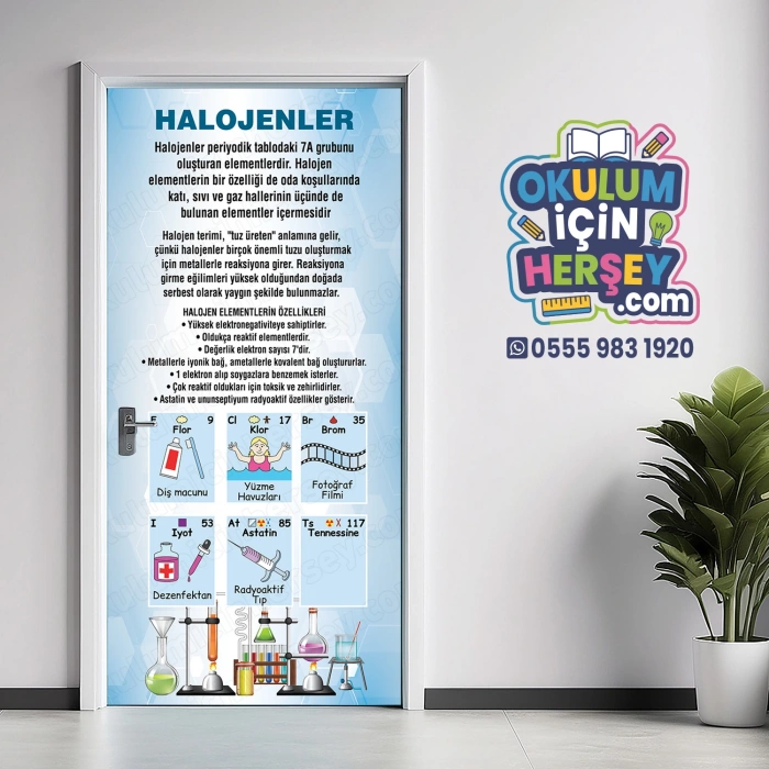 Kimya Halojenler KG KİM 11