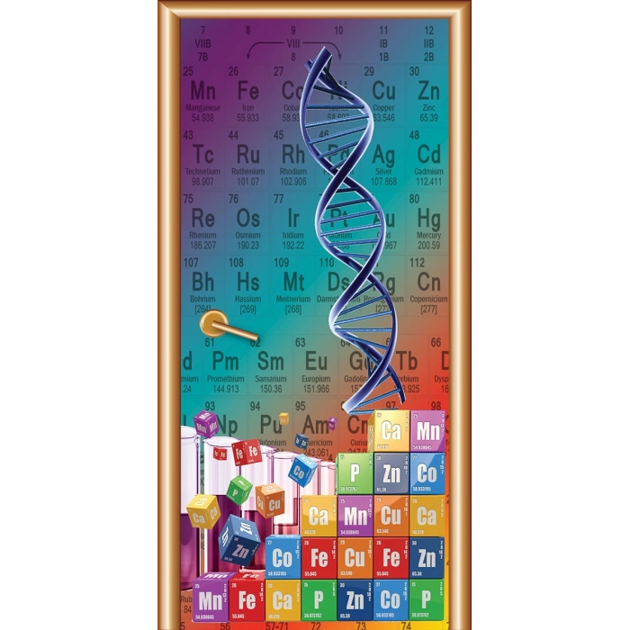 Kimya Kapı Giydirme 10