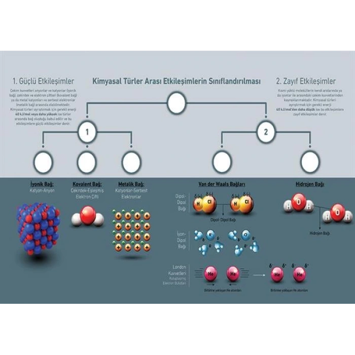 Kimyasal Türler Arası Etkileşimlerin Sınıflandırılması P KİM 15