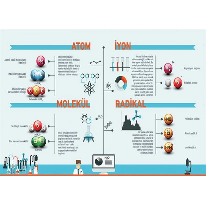 Kimyasal Türler P KİM 17