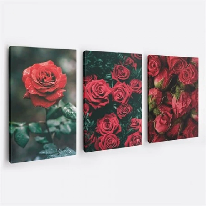 Kırmızı Güller 3lü Duvar Tablo Seti