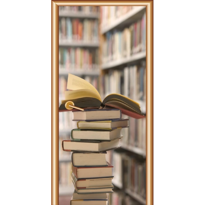 Kütüphane Kapı Giydirme 16