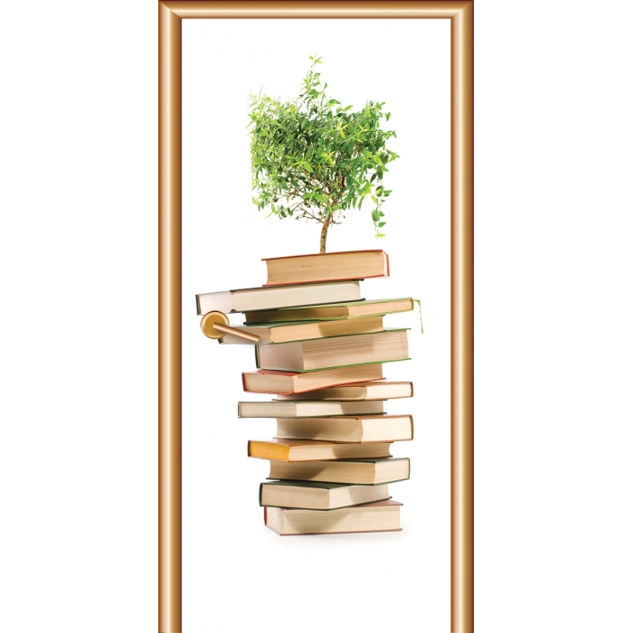 Kütüphane Kapı Giydirme 31