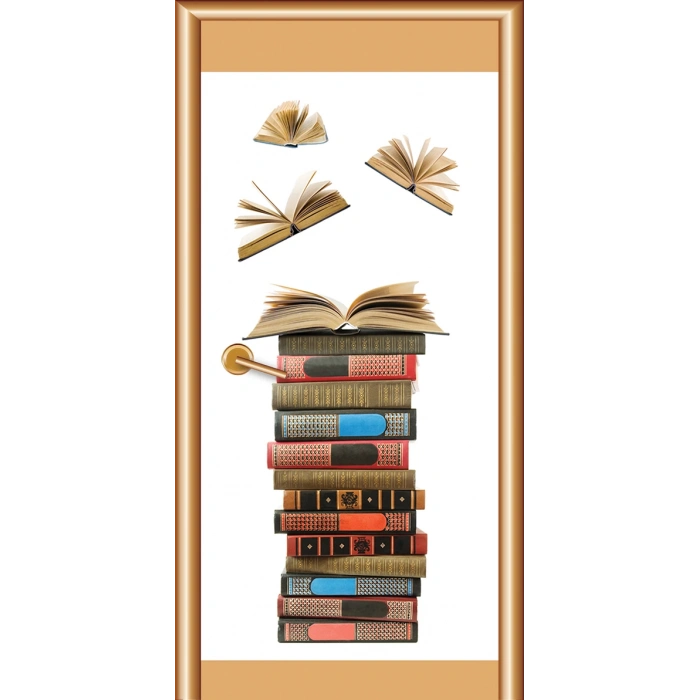 Kütüphane Kapı Giydirme 47