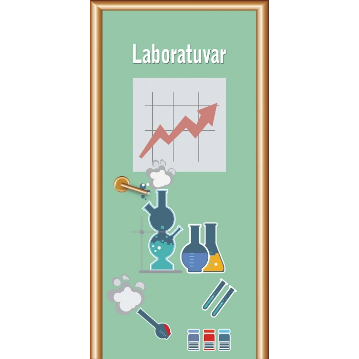 Laboratuvar Kapı Giydirme 06