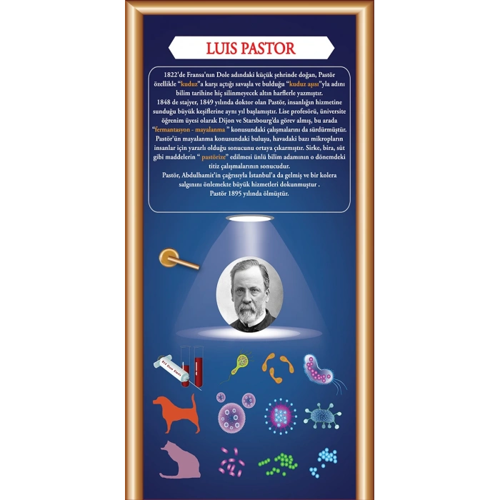 Louis Pasteur Kapı Giydirme 43