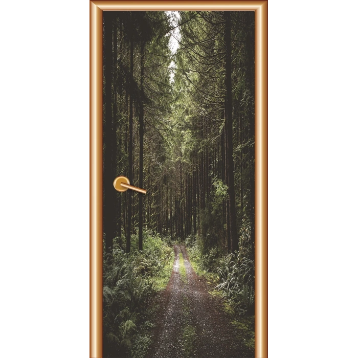 Manzara Kapı Giydirme 107