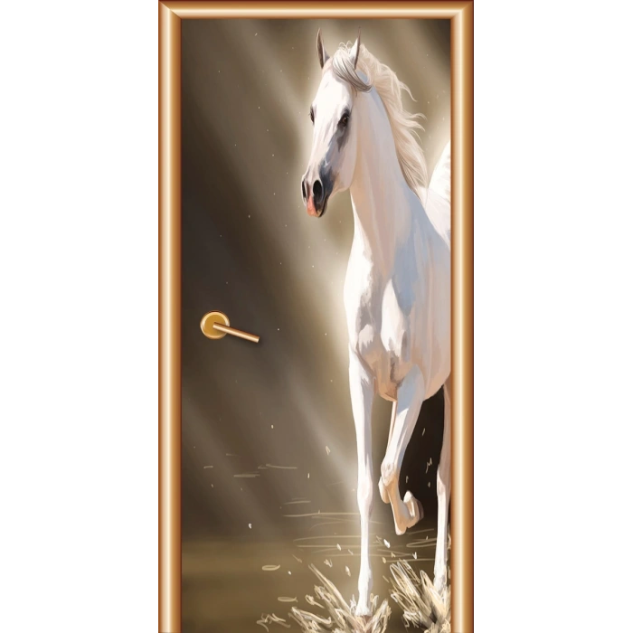 Manzara Kapı Giydirme 28