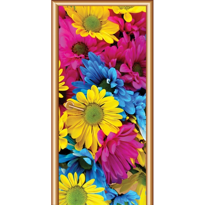 Manzara Kapı Giydirme 31