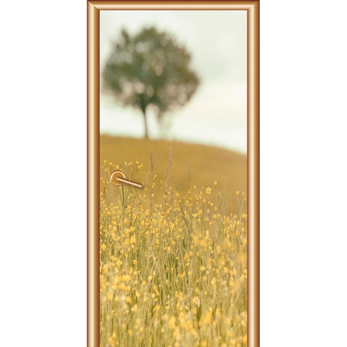 Manzara Kapı Giydirme 36