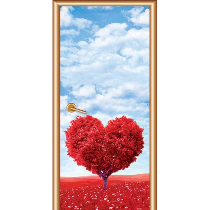 Manzara Kapı Giydirme 55