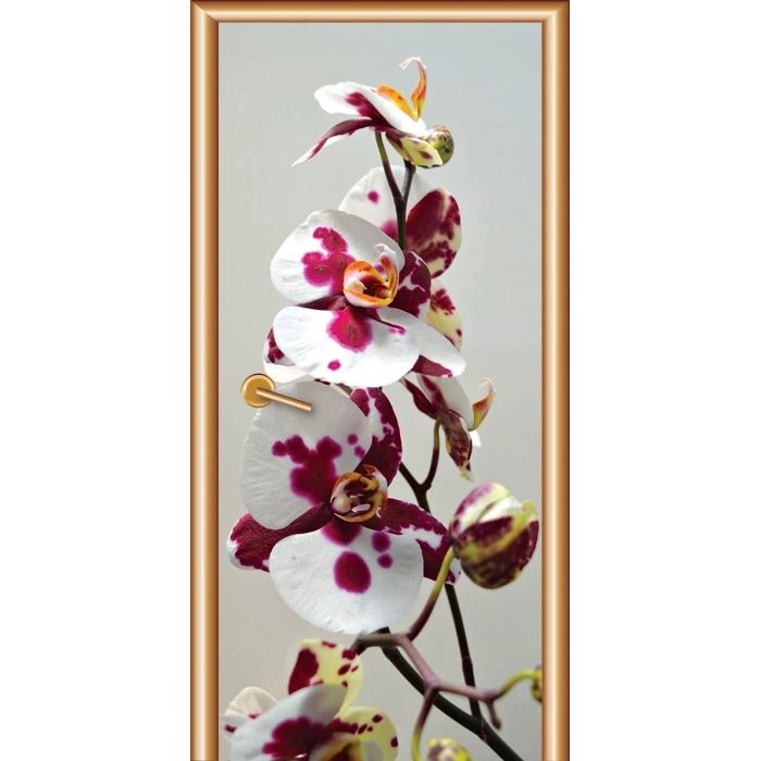 Manzara Kapı Giydirme 63