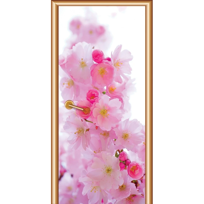 Manzara Kapı Giydirme 66