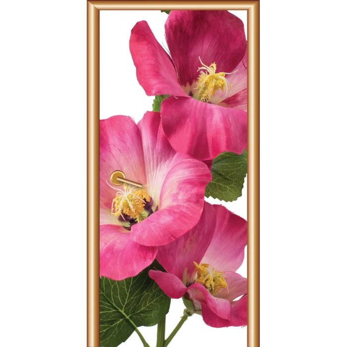 Manzara Kapı Giydirme 67