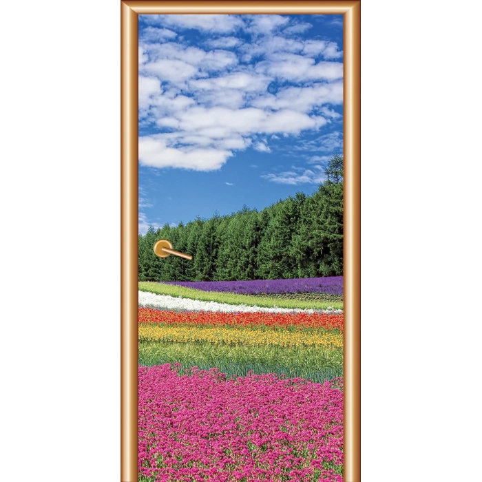 Manzara Kapı Giydirme 69