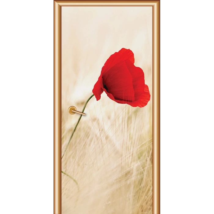 Manzara Kapı Giydirme 70