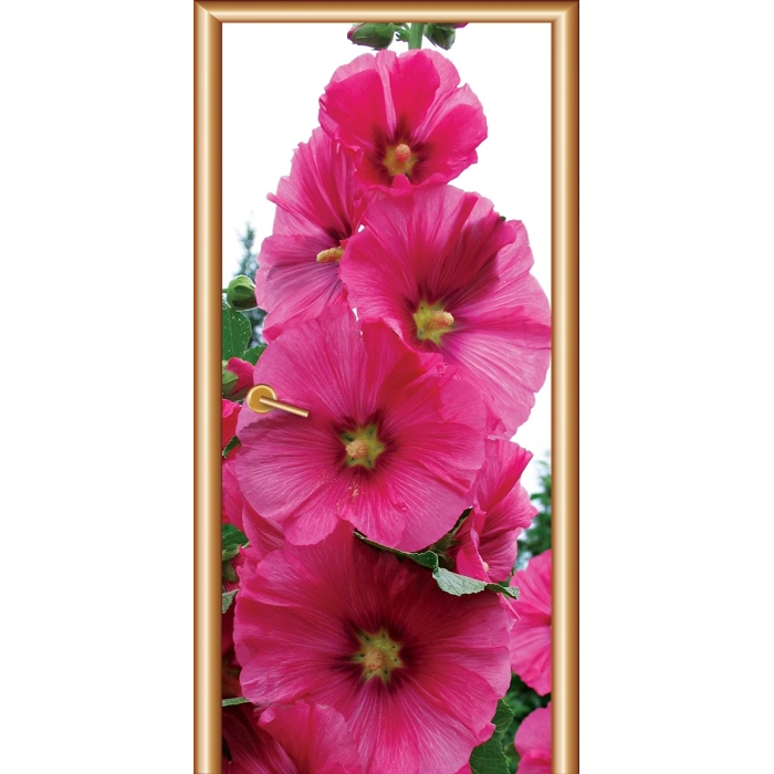 Manzara Kapı Giydirme 73