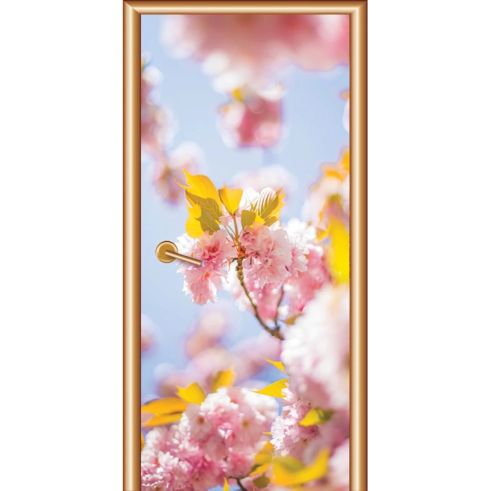 Manzara Kapı Giydirme 84