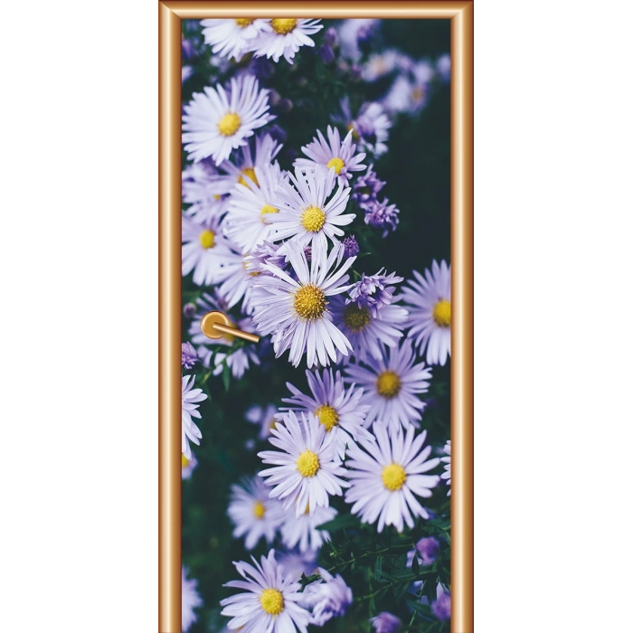 Manzara Kapı Giydirme 85