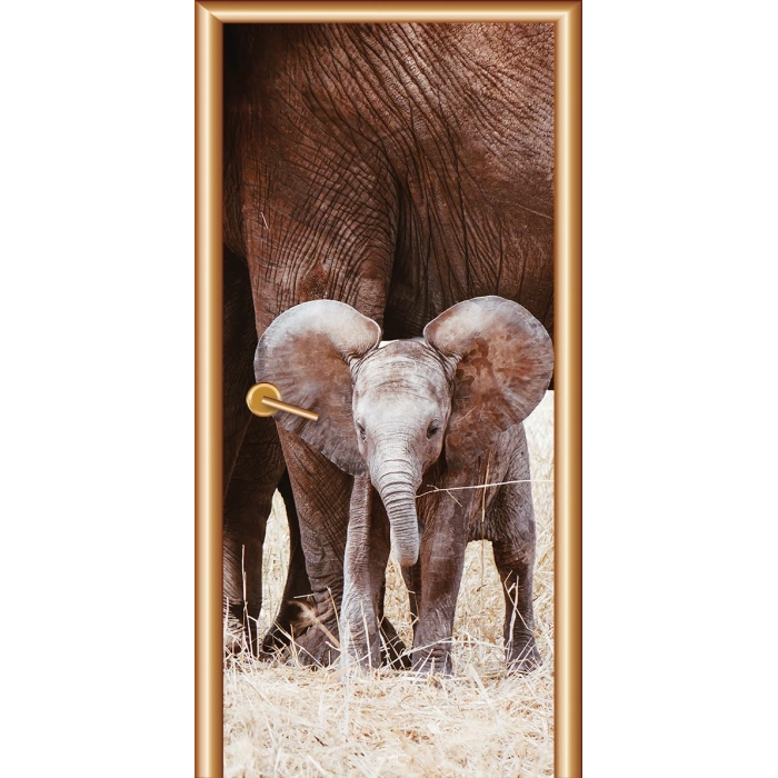 Manzara Kapı Giydirme 86