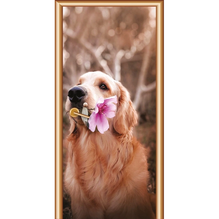 Manzara Kapı Giydirme 87