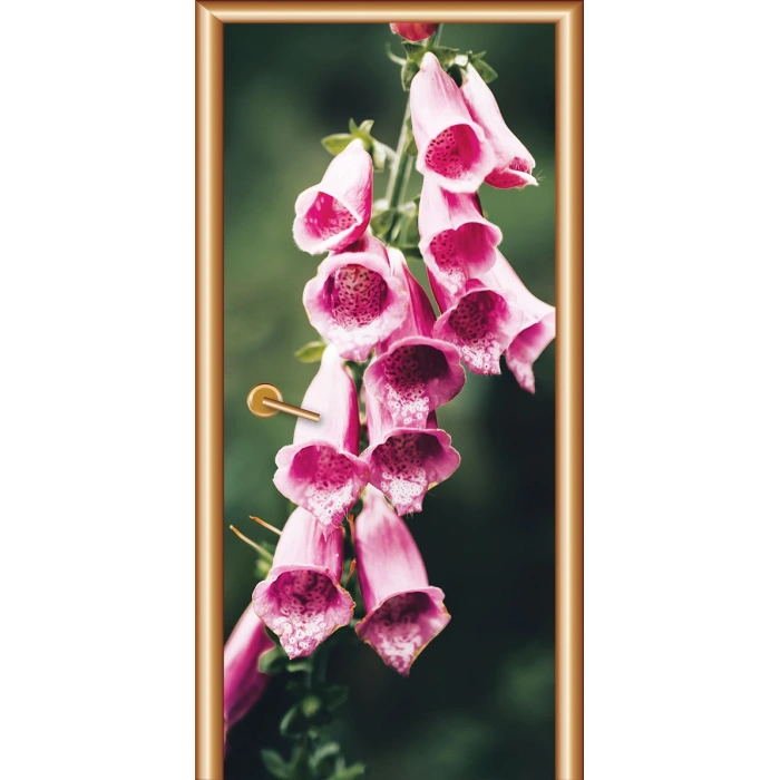 Manzara Kapı Giydirme 89