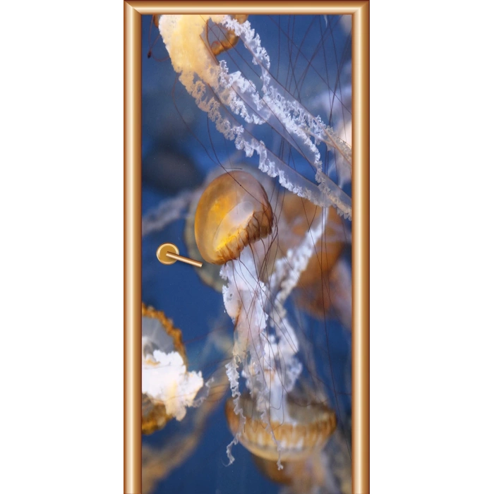 Manzara Kapı Giydirme 96