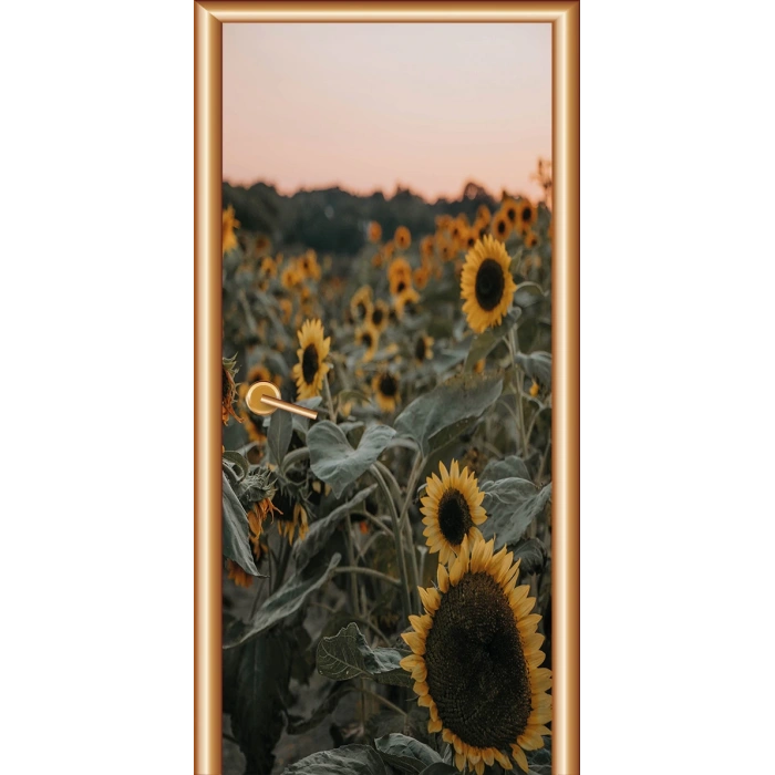 Manzara Kapı Giydirme 97