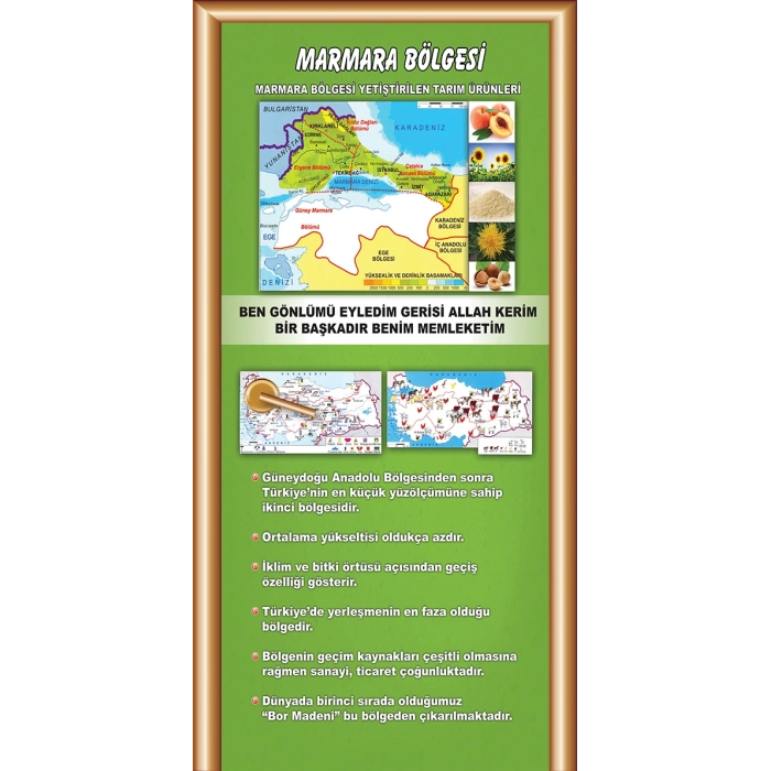 Marmara Bölgesi Kapı Giydirme 16