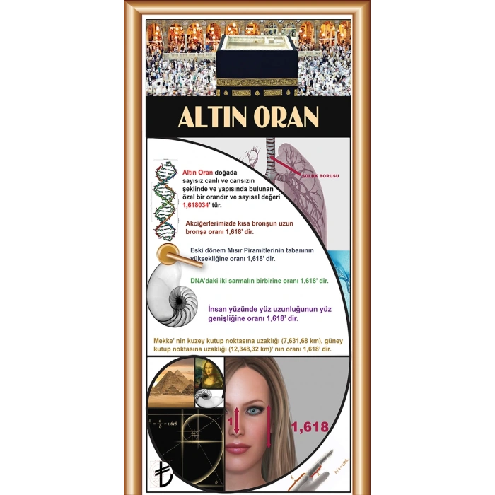 Matematik Sınıfı Kapı Giydirme 06