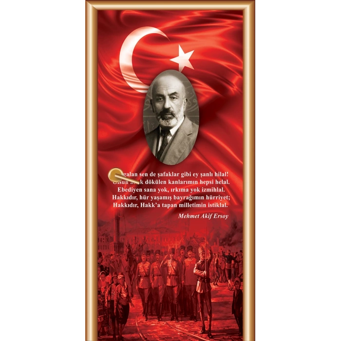 Mehmet Akif Ersoy Kapı Giydirme 65
