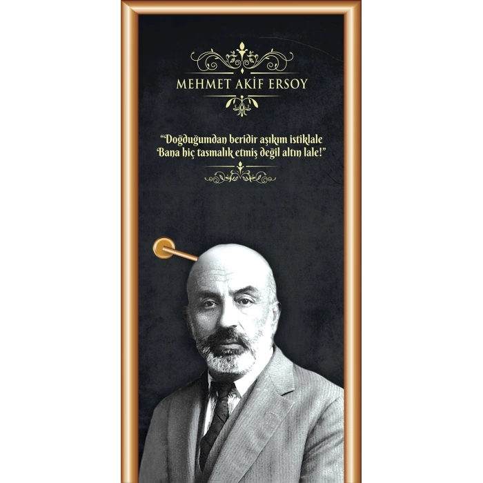 Mehmet Akif Ersoy Kapı Giydirme 79