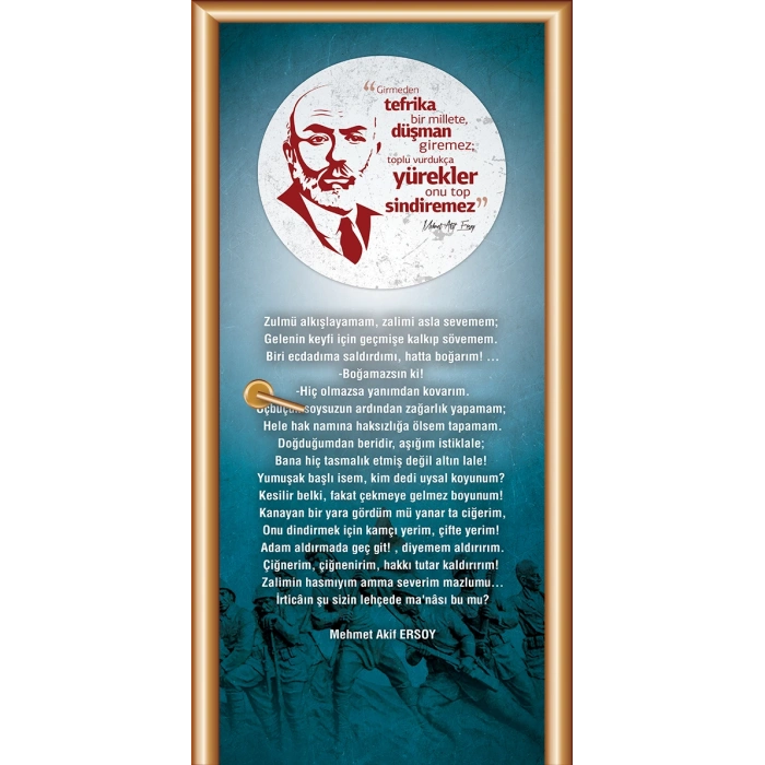 Mehmet Âkif Ersoy Kapı Giydirme 89