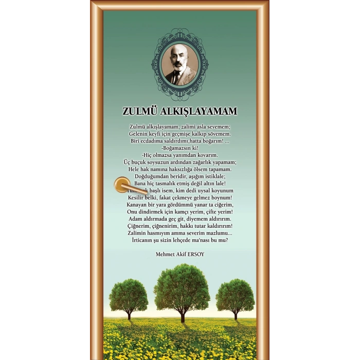 MEHMET AKİF ERSOY 69