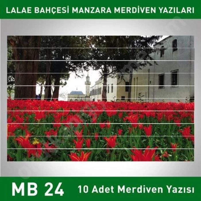 Merdiven Yazıları Manzara MB 024