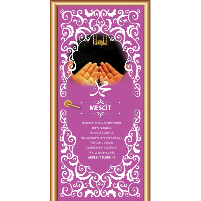 Mescit Kapı Giydirme 13