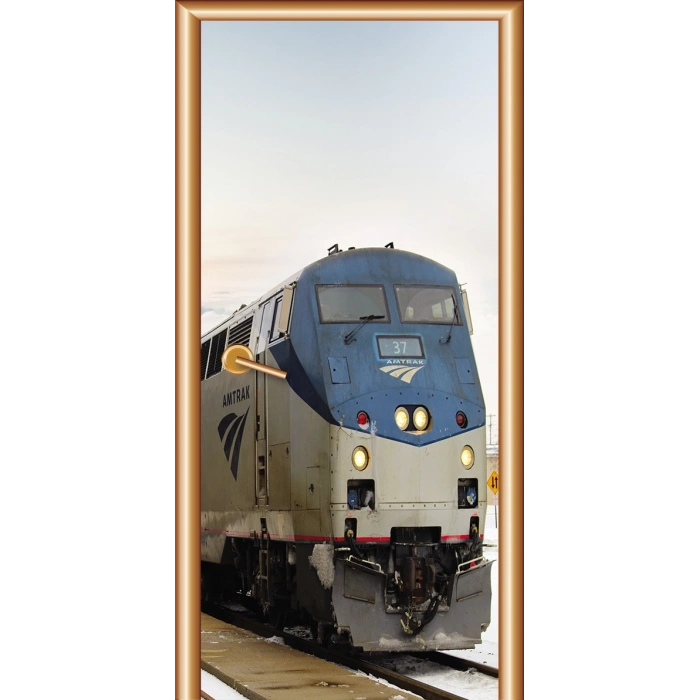 Muhtelif Kapılar Kapı Giydirme 21