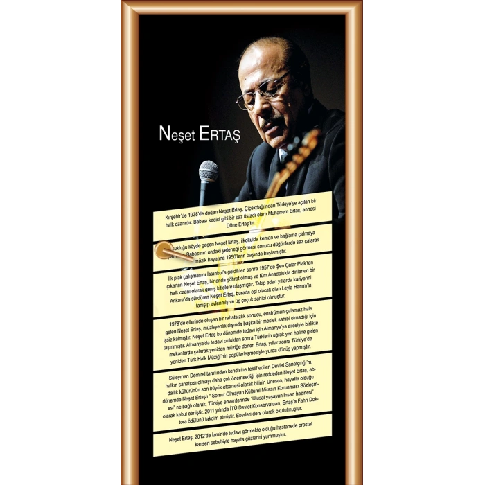 Müzik Sınıfı Kapı Giydirme 09