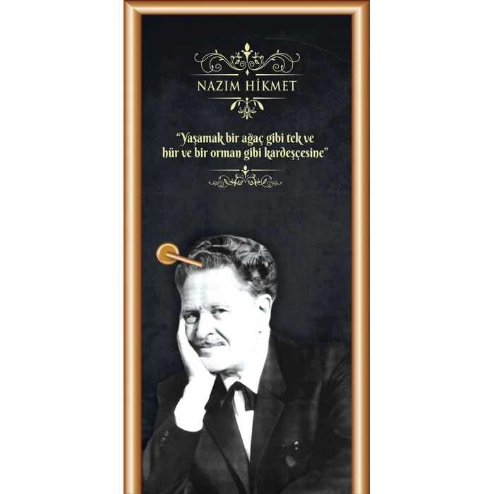 Nazım Hikmet Kapı Giydirme 80