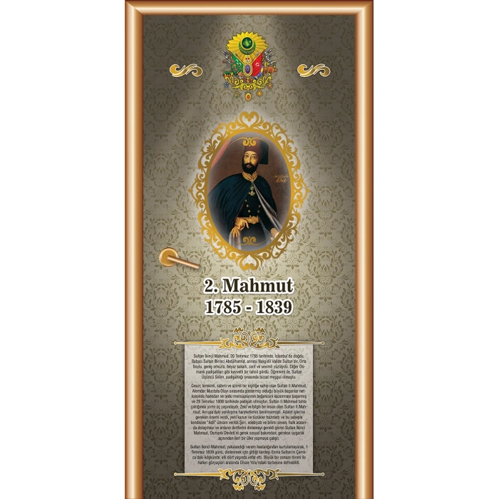 Osmanlı Padişahları Kapı Giydirme 34