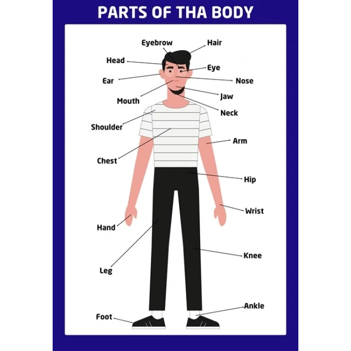 Part Of The Body Boy 02