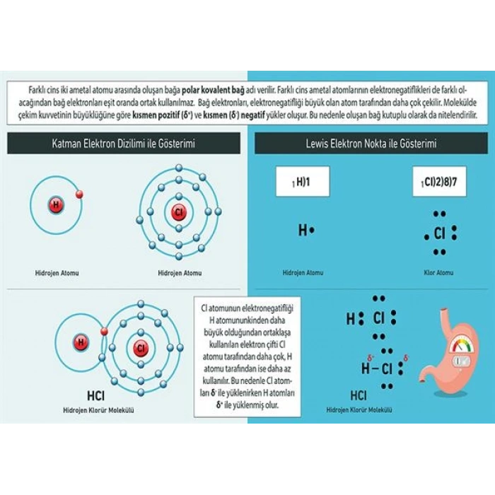 Polar Kovalent Bağ P KİM 14