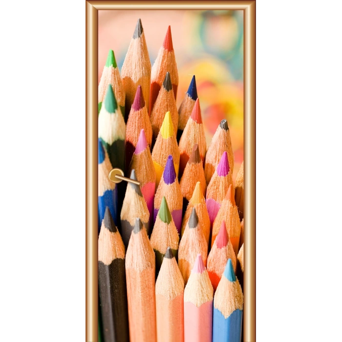 Resim Atölyesi Kapı Giydirme 08