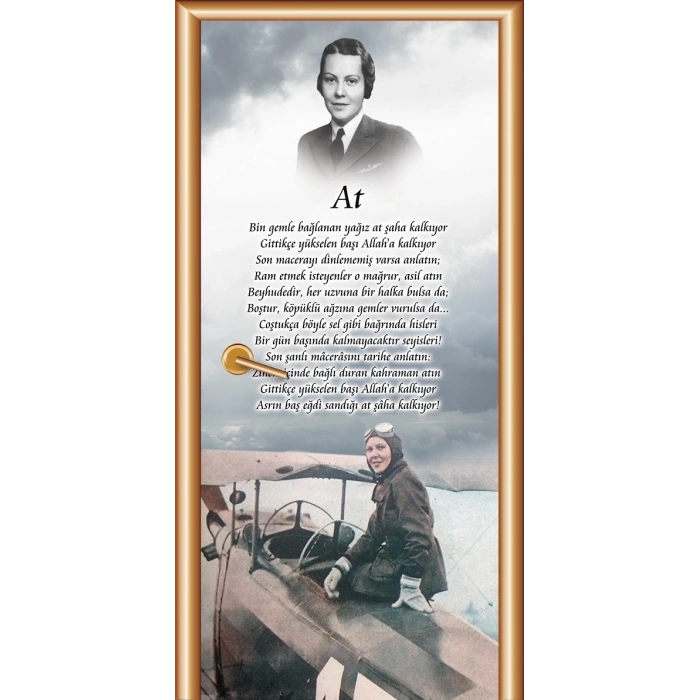 Sabiha Gökçen Kapı Giydirme 64