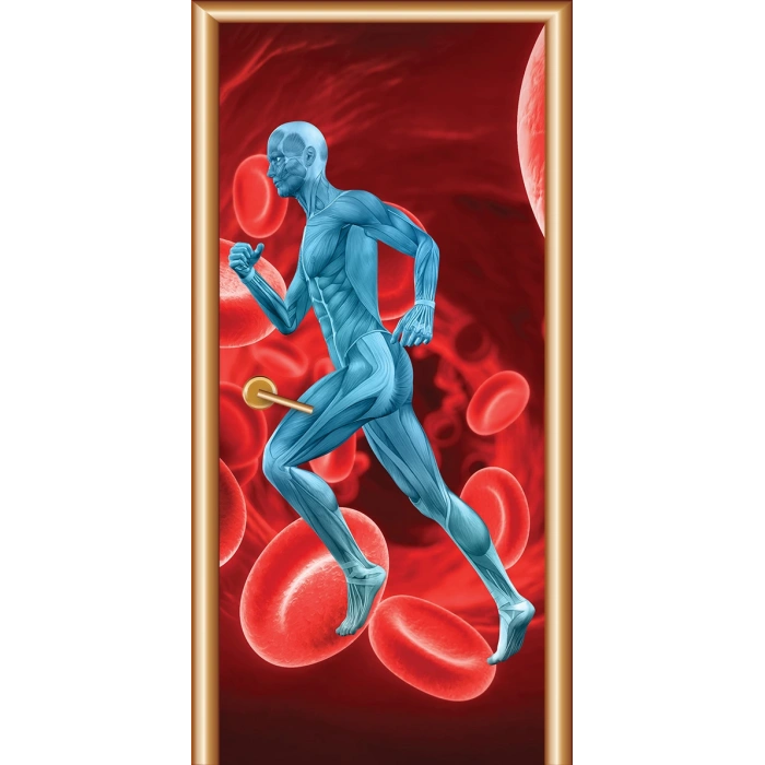 Sağlık Kapı Giydirme 41