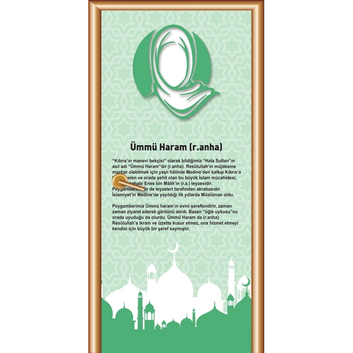 Sahabeler Kapı Giydirme 16