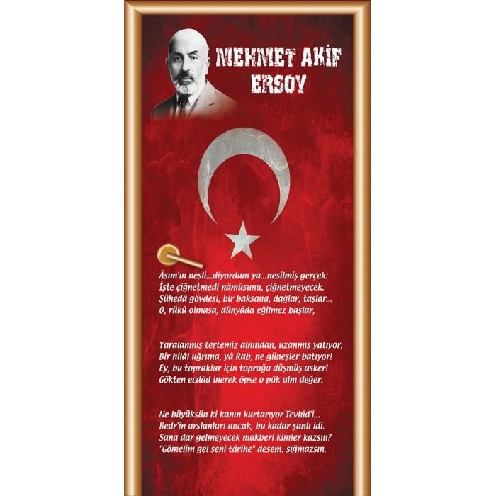 Şairler ve Yazarlar Kapı Giydirme 38