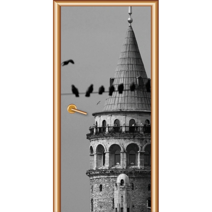 Şehir Kapı Giydirme 02